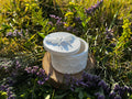 Bienen-Dose