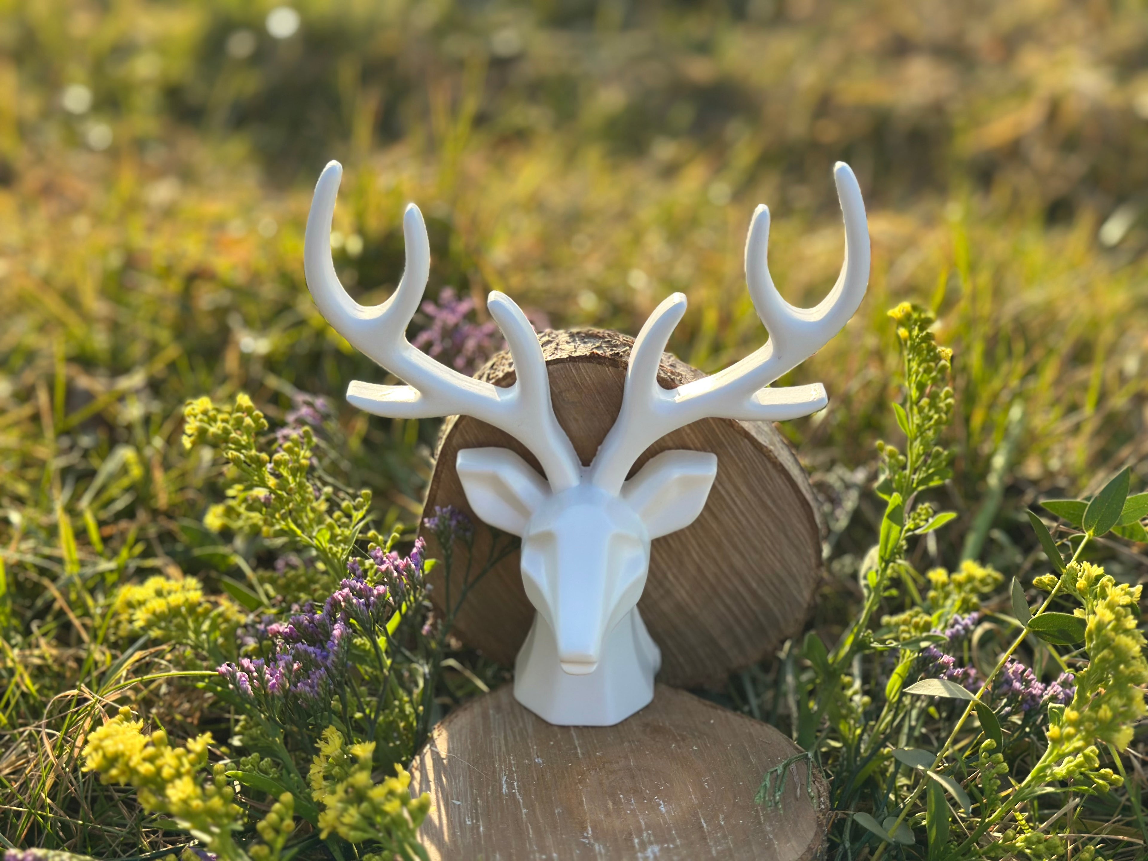 Hirsch