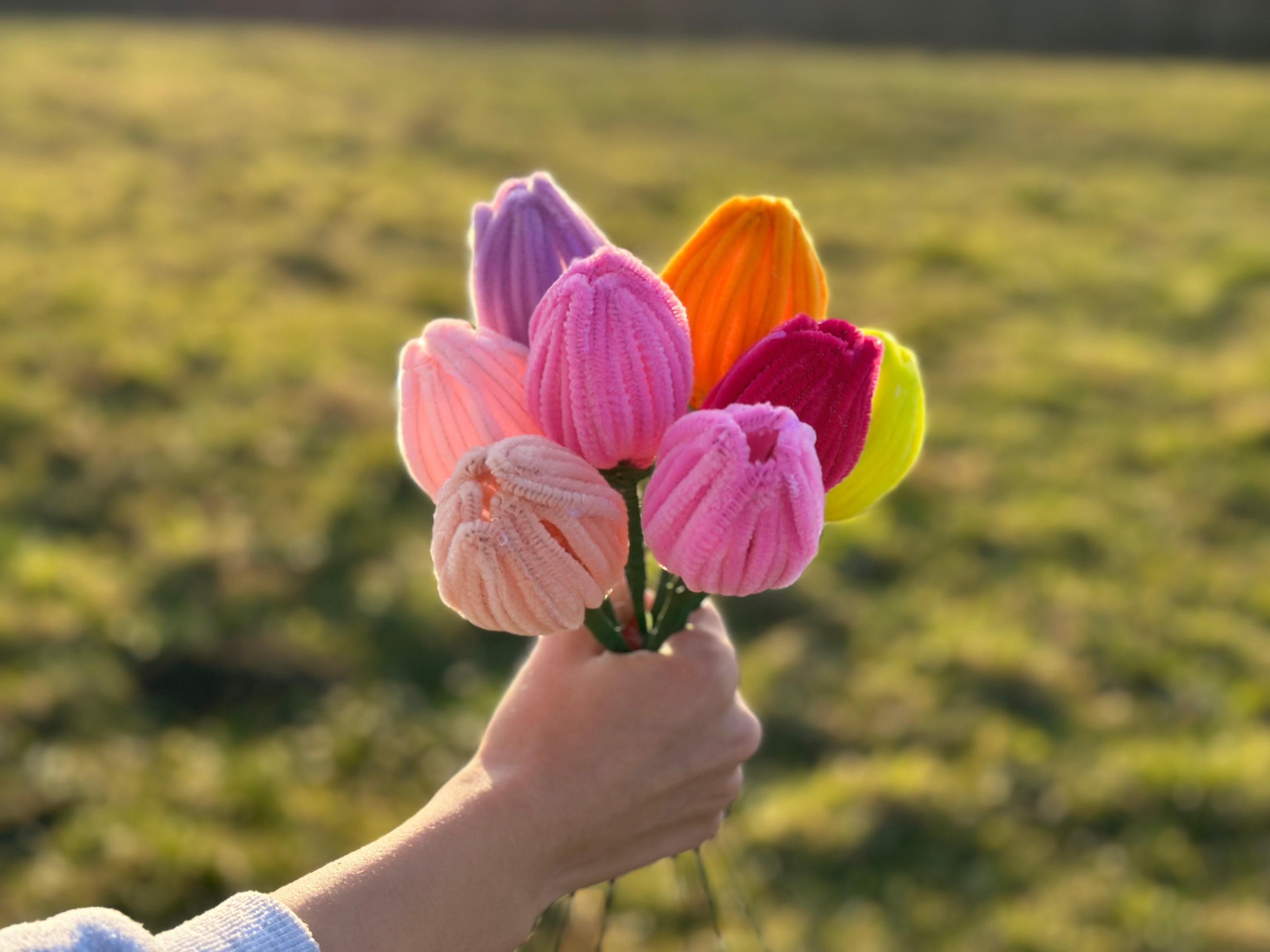 Tulpen