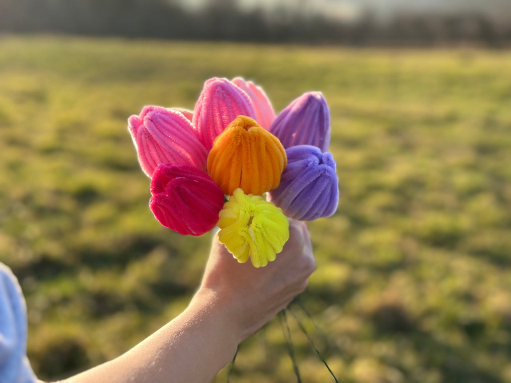Tulpen