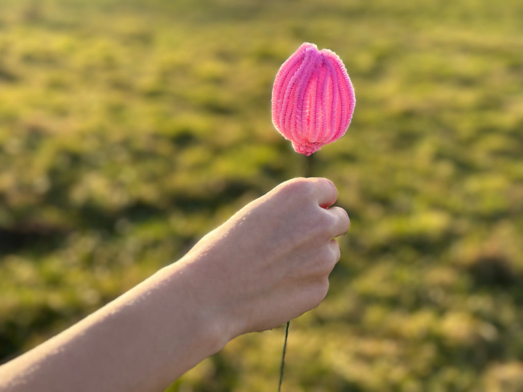 Tulpen