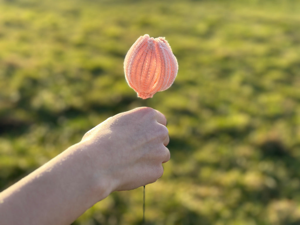 Tulpen
